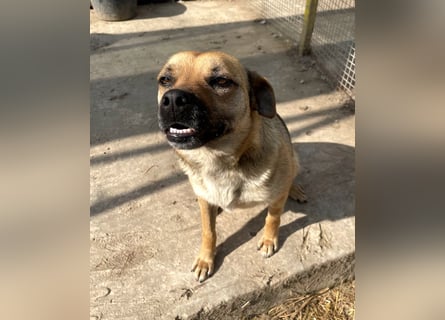 Mia - Schmusebacke ❤️