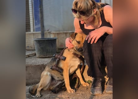 Mia - Schmusebacke ❤️