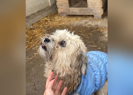 Kymana - einfach lieb!