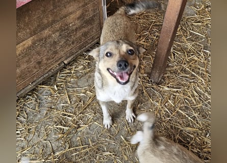 Kaylie - kleine, fürsorgliche Mama sucht ruhiges Zuhause