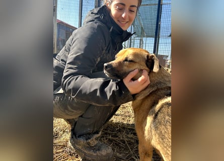 Mia - Schmusebacke ❤️