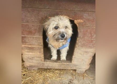 Kymana - einfach lieb!