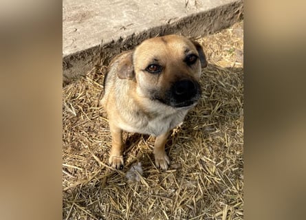 Mia - Schmusebacke ❤️