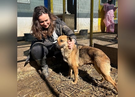 Mia - Schmusebacke ❤️