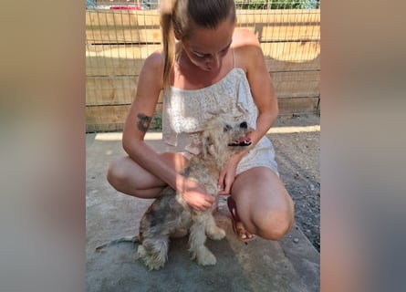 Kymana - einfach lieb!