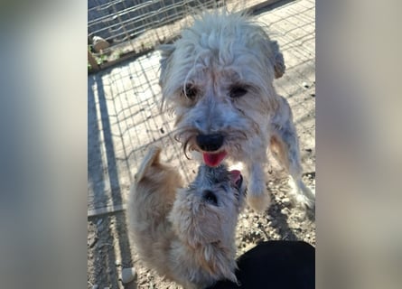 Kymana - einfach lieb!