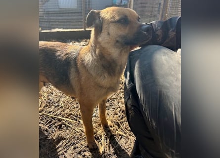 Mia - Schmusebacke ❤️