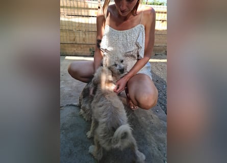 Kymana - einfach lieb!