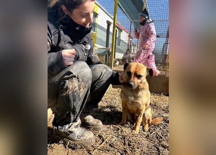 Mia - Schmusebacke ❤️