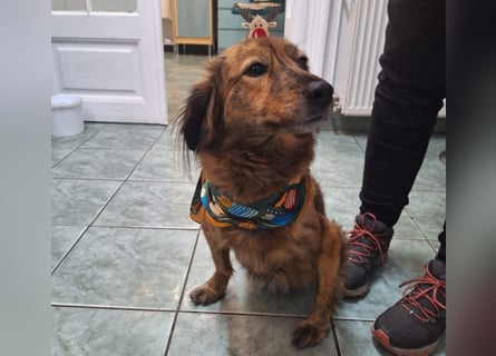 Lola - fröhliches Rollimädchen