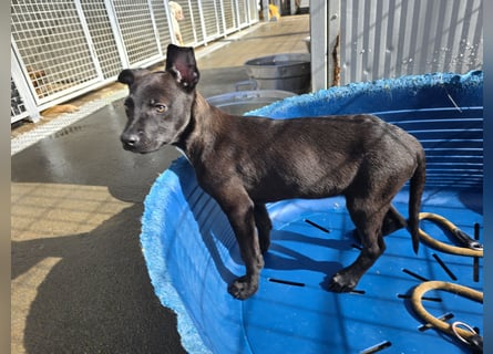 Lalita: spielen, kuscheln, die Welt entdecken