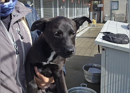 Lalita: spielen, kuscheln, die Welt entdecken