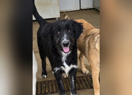 Pumba: kleines Herz sucht großes Glück