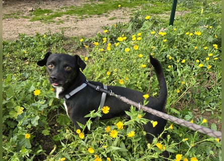 Nerino: ein Schatz für "überall mit dabei"