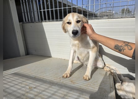 Buffy: ein Schatz für "Überall mit dabei"