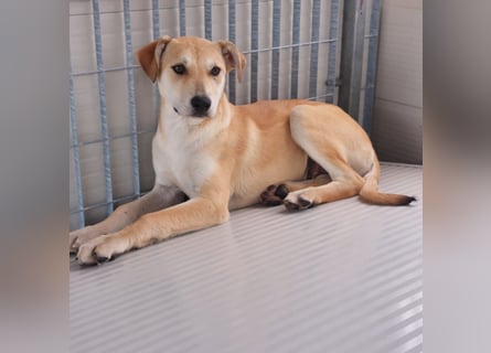 Lennox: wer spielt mit mir?