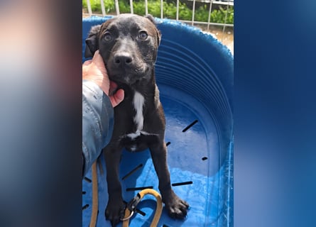 Lalita: spielen, kuscheln, die Welt entdecken