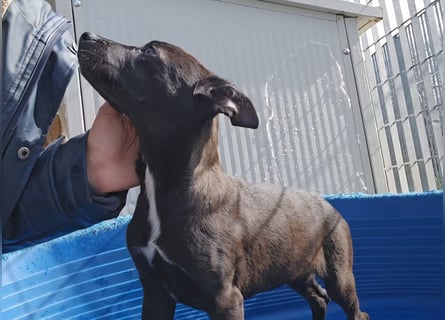 Lalita: spielen, kuscheln, die Welt entdecken