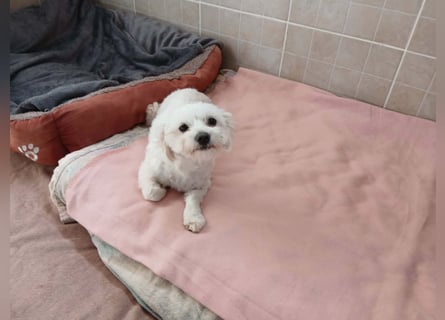 Kleine Lizzy sucht ihr Für-immer-Zuhause