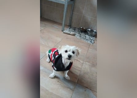 Kleine Lizzy sucht ihr Für-immer-Zuhause