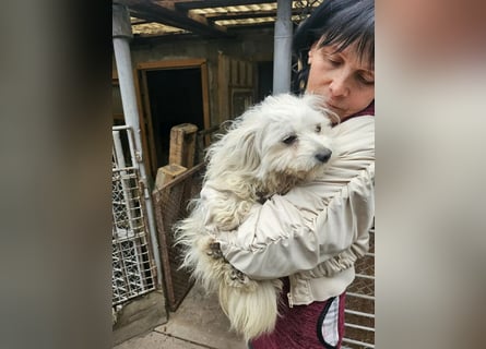 Kleine Lizzy sucht ihr Für-immer-Zuhause