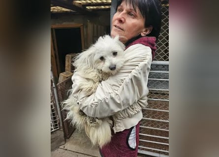 Kleine Lizzy sucht ihr Für-immer-Zuhause