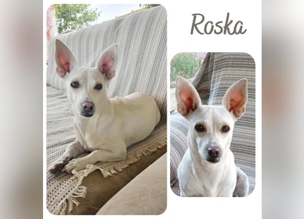 Roska