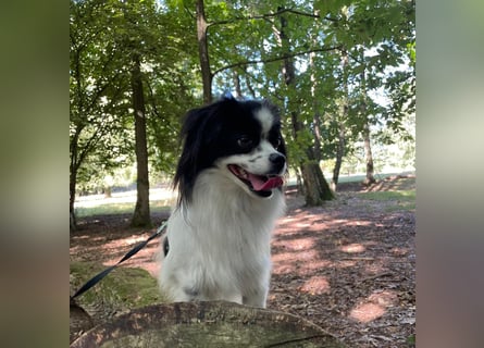 Maxi wartet in 41379 Brüggen Maxi wartet in 41379 Brüggen