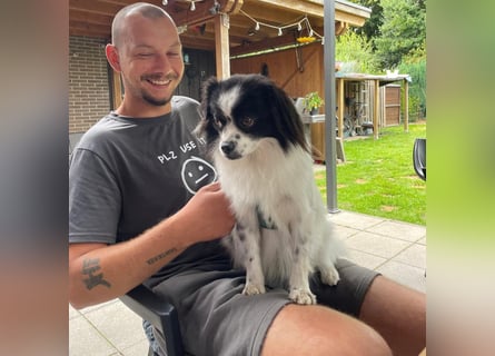 Maxi wartet in 41379 Brüggen Maxi wartet in 41379 Brüggen