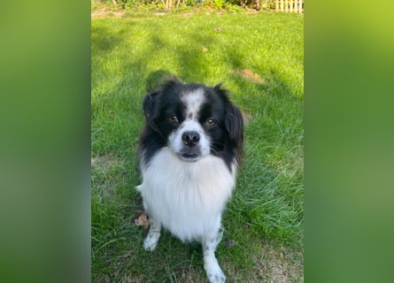 Maxi wartet in 41379 Brüggen Maxi wartet in 41379 Brüggen