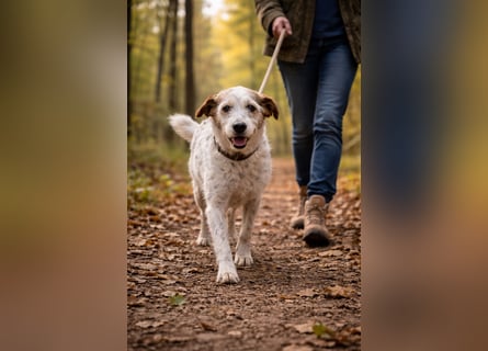 Grace - in Berlin auf Pflegestelle