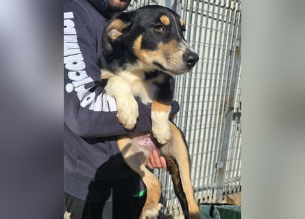 Betty: Hallo, hier bin ich!