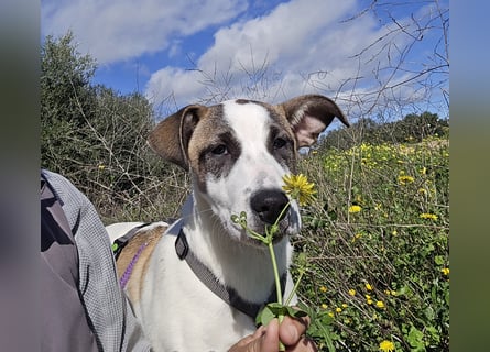 Nicolina: vom Parkplatz ins schöne Leben