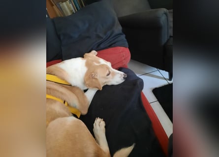 Lucy: ein Schatz für Jedermann
