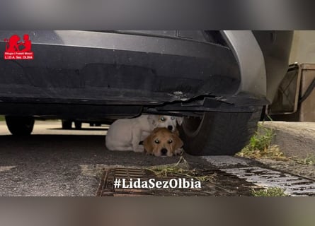 Lucy: ein Schatz für Jedermann