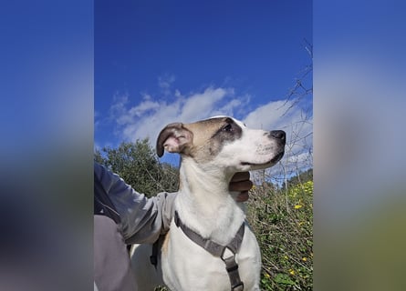 Nicolina: vom Parkplatz ins schöne Leben