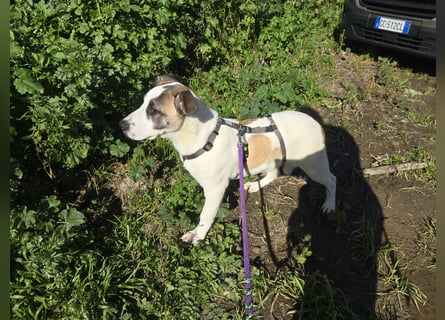 Nicolina: vom Parkplatz ins schöne Leben