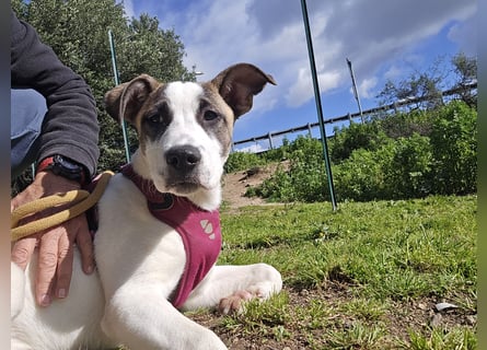 Nicolina: vom Parkplatz ins schöne Leben