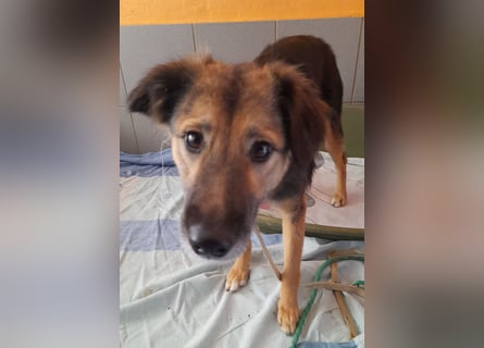MONA 1 J. jung und noch schüchtern sucht Traumzuhause