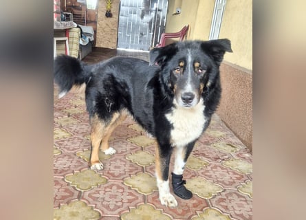 ZEN - der Junge, der sein Glück sucht