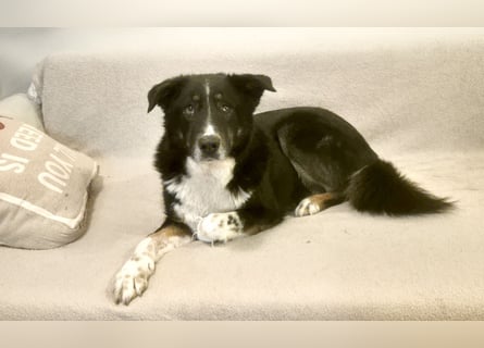 ZEN - der Junge, der sein Glück sucht