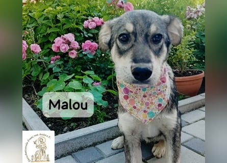 Malou – kleine Entdeckerin mit feinem Gespür!