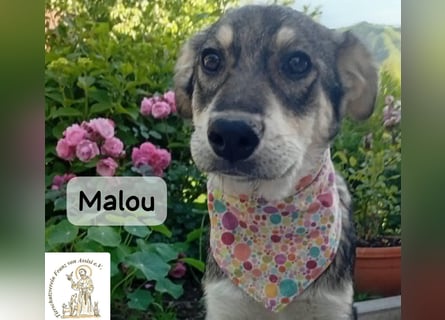 Malou – kleine Entdeckerin mit feinem Gespür!