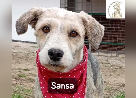 Sansa – der Neuanfang steht ihr einfach gut!