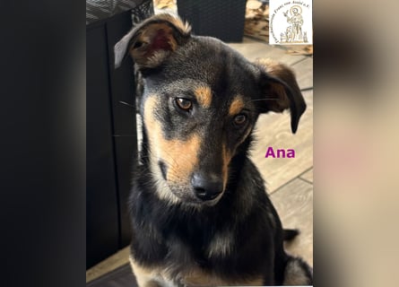 Ana – junges Mädchen, große Pläne!