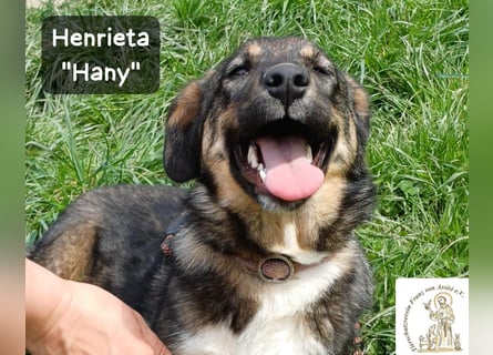 Hany – neugierig, frech und unwiderstehlich!