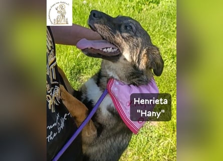 Hany – neugierig, frech und unwiderstehlich!