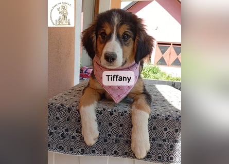 Tiffany – Man ist nie zu klein, um für jemanden die ganze Welt zu sein!