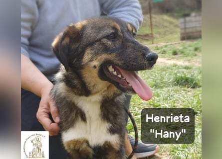 Hany – neugierig, frech und unwiderstehlich!