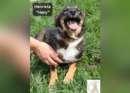 Hany – neugierig, frech und unwiderstehlich!